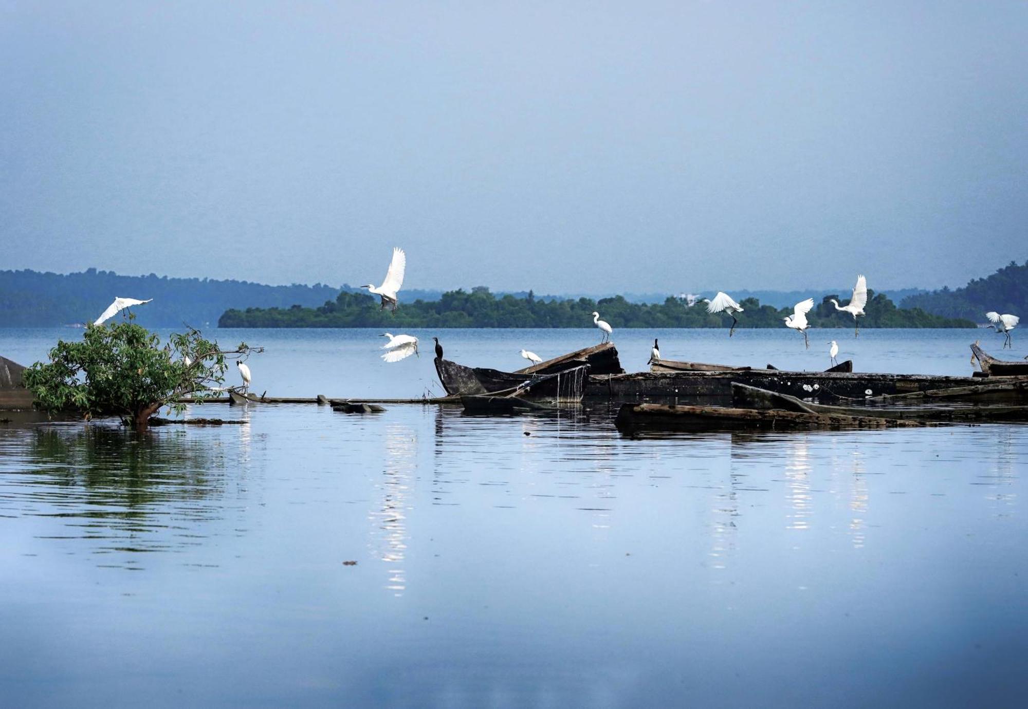 Prakruthi Residency Munroeisland Appartement Mundrothuruth Buitenkant foto