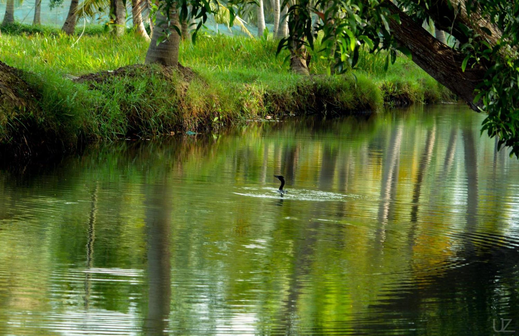 Prakruthi Residency Munroeisland Appartement Mundrothuruth Buitenkant foto